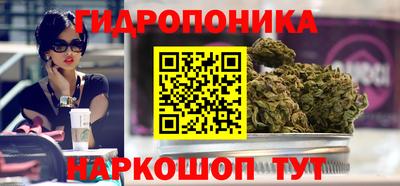 прущие крисы Ставрополь