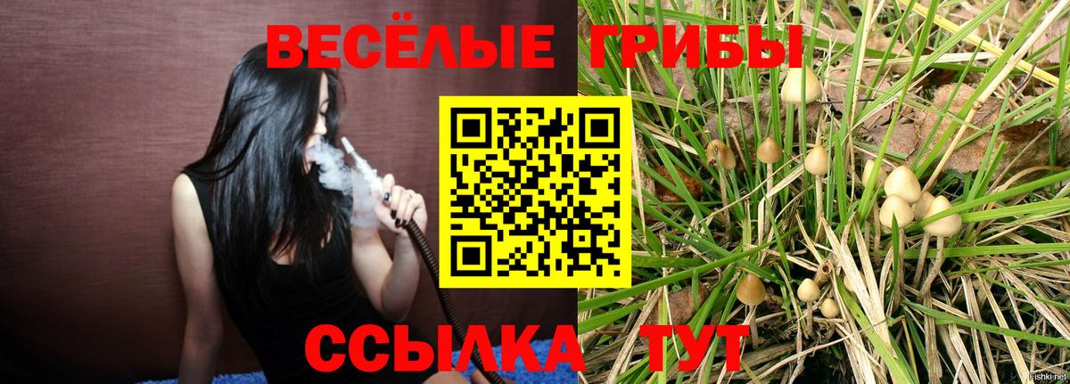 Псилоцибиновые грибы ЛСД Мыски